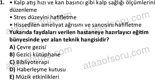 ata cocukgelisimlisans 1470 1