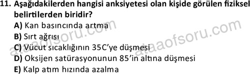 ata cocukgelisimlisans 1470 11