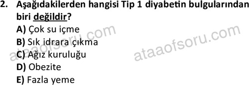 ata cocukgelisimlisans 1470 2
