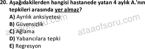 ata cocukgelisimlisans 1470 20
