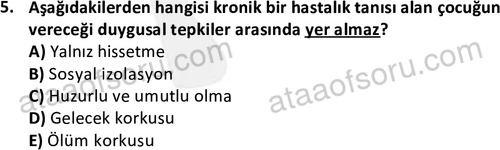 ata cocukgelisimlisans 1470 5