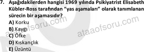 ata cocukgelisimlisans 1470 7