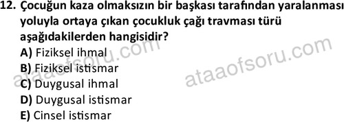 ata cocukgelisimlisans 1469 12