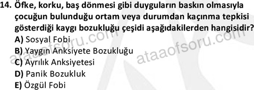 ata cocukgelisimlisans 1469 14