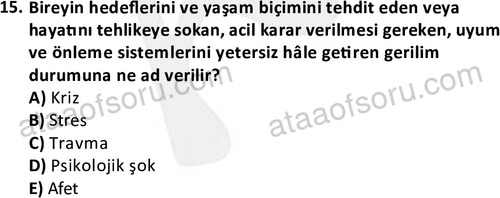 ata cocukgelisimlisans 1469 15