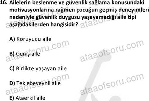 ata cocukgelisimlisans 1469 16
