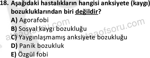 ata cocukgelisimlisans 1469 18