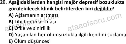 ata cocukgelisimlisans 1469 20