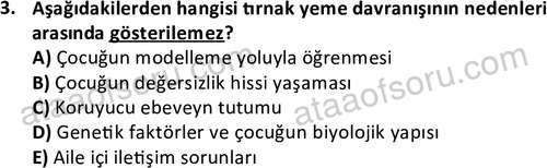 ata cocukgelisimlisans 1469 3
