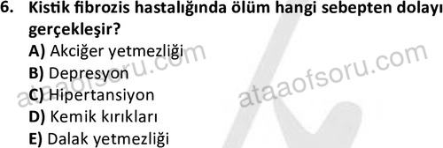 ata cocukgelisimlisans 1469 6