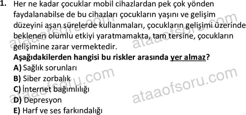 ata cocukgelisimlisans 1473 1