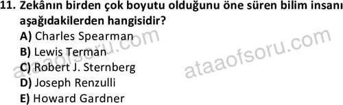 ata cocukgelisimlisans 1472 11