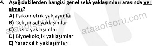 ata cocukgelisimlisans 1472 4