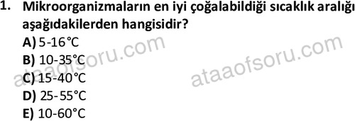 ata cocukgelisimonlisans 1487 1
