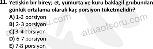 ata cocukgelisimonlisans 1487 11
