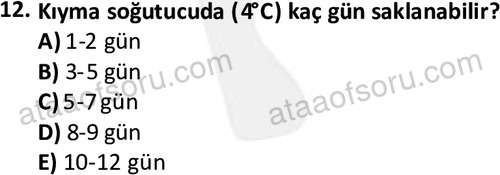 ata cocukgelisimonlisans 1487 12