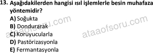 ata cocukgelisimonlisans 1487 13