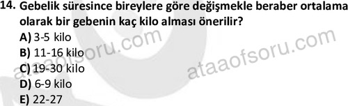 ata cocukgelisimonlisans 1487 14