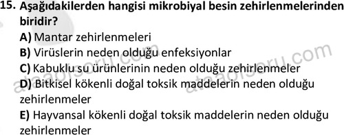 ata cocukgelisimonlisans 1487 15