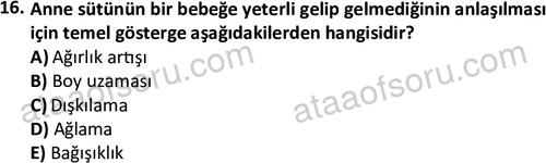 ata cocukgelisimonlisans 1487 16