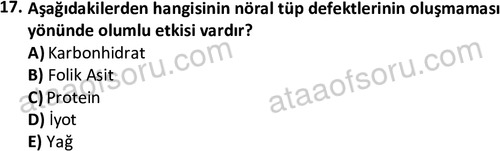 ata cocukgelisimonlisans 1487 17