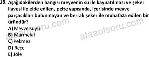 ata cocukgelisimonlisans 1487 18