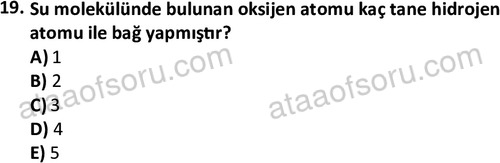 ata cocukgelisimonlisans 1487 19