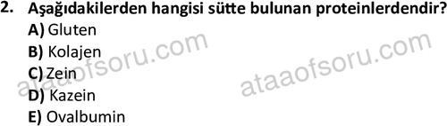 ata cocukgelisimonlisans 1487 2