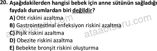 ata cocukgelisimonlisans 1487 20