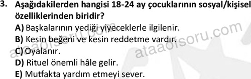 ata cocukgelisimonlisans 1487 3