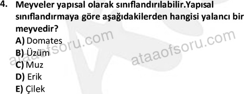 ata cocukgelisimonlisans 1487 4