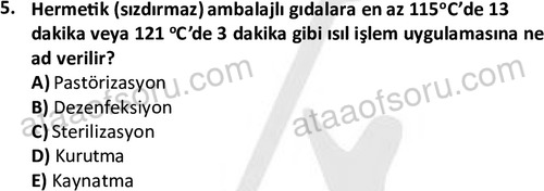 ata cocukgelisimonlisans 1487 5