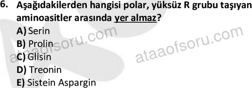 ata cocukgelisimonlisans 1487 6