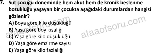 ata cocukgelisimonlisans 1487 7