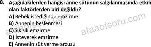 ata cocukgelisimonlisans 1487 8