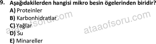 ata cocukgelisimonlisans 1487 9