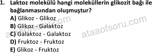 ata cocukgelisimonlisans 1487 1