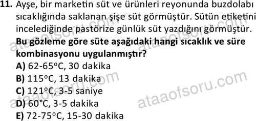 ata cocukgelisimonlisans 1487 11
