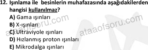 ata cocukgelisimonlisans 1487 12