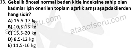 ata cocukgelisimonlisans 1487 13