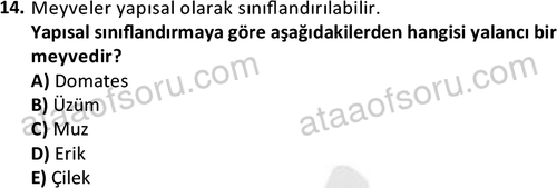 ata cocukgelisimonlisans 1487 14