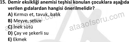 ata cocukgelisimonlisans 1487 15