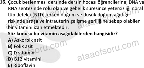ata cocukgelisimonlisans 1487 16