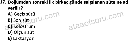 ata cocukgelisimonlisans 1487 17