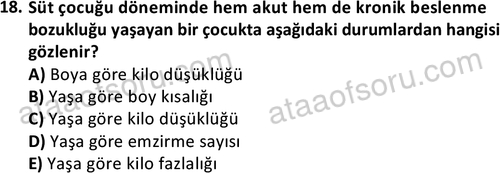 ata cocukgelisimonlisans 1487 18