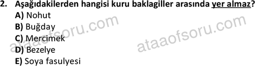 ata cocukgelisimonlisans 1487 2