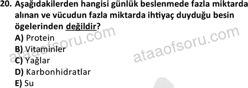 ata cocukgelisimonlisans 1487 20