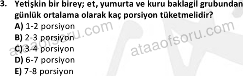 ata cocukgelisimonlisans 1487 3