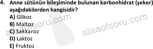ata cocukgelisimonlisans 1487 4