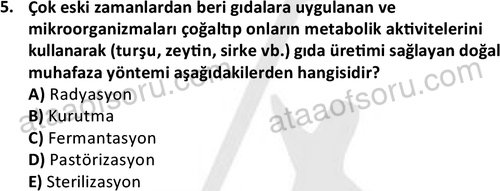 ata cocukgelisimonlisans 1487 5